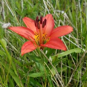 Meet your Posher, Jocelyn